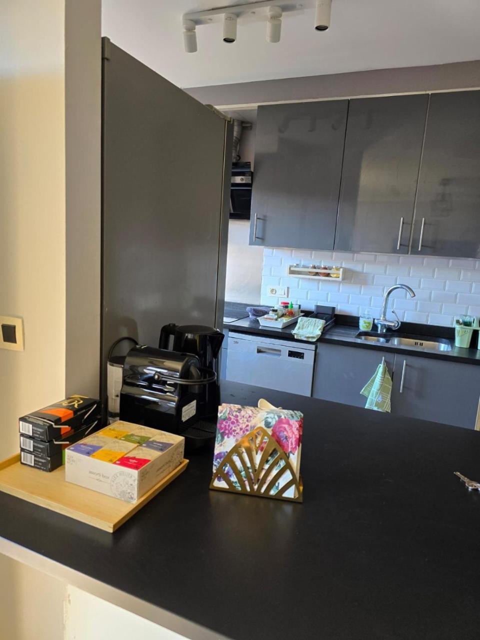 Strelitzyahouse - carbon neutral hotel in Brussels