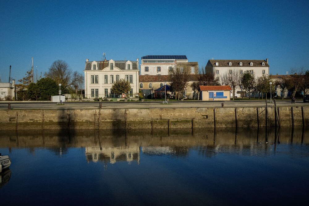 Le Domaine du Meunier — Mortagne-Sur-Gironde — photo 2
