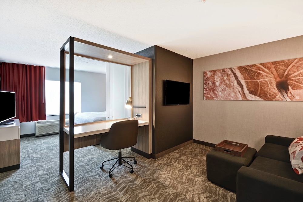 SpringHill Suites by Marriott Indianapolis Airport Plainfield - photo 11