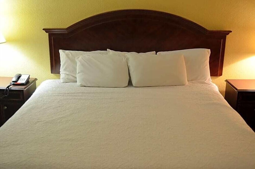 McLure Inn and Suites - photo 5