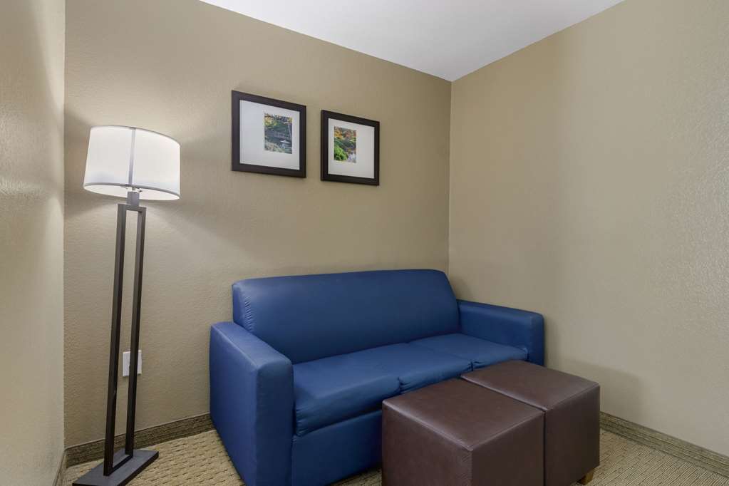 Comfort Suites Benbrook Fort Worth Southwest - photo 22