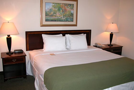 Haven Hotel - photo 3