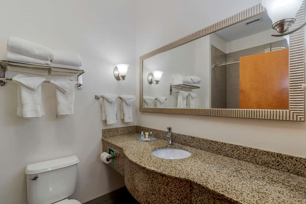 Comfort Suites Stockbridge Atlanta South - photo 6