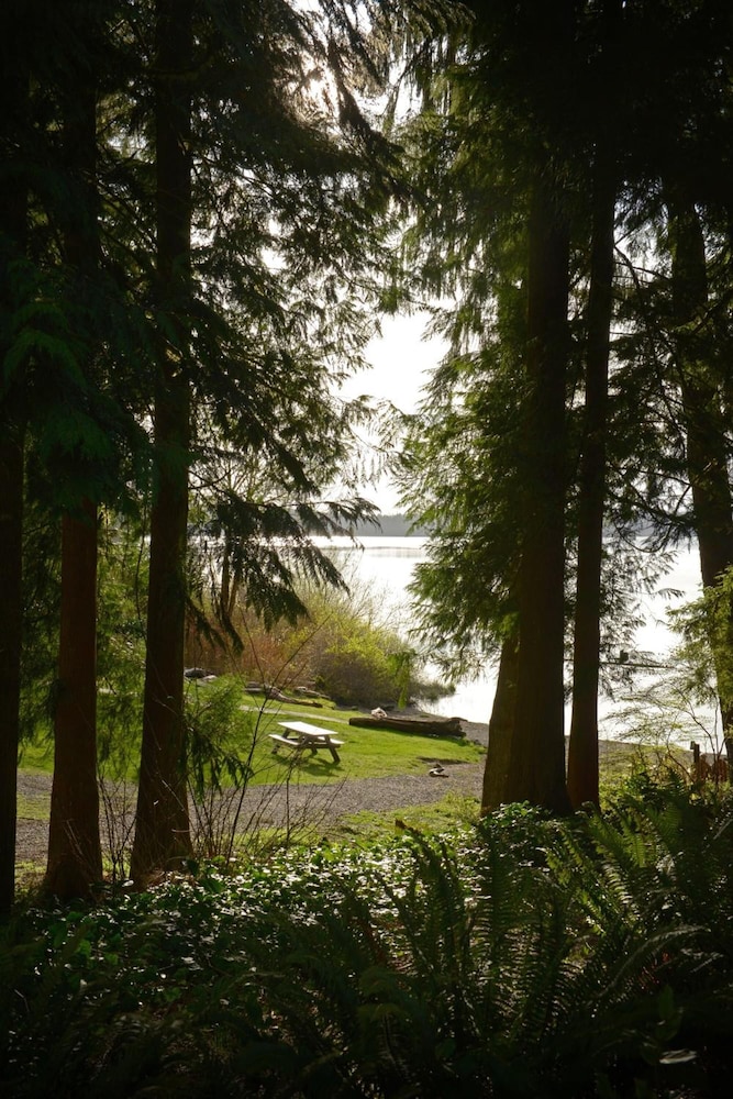 Lake Quinault Lodge - photo 69
