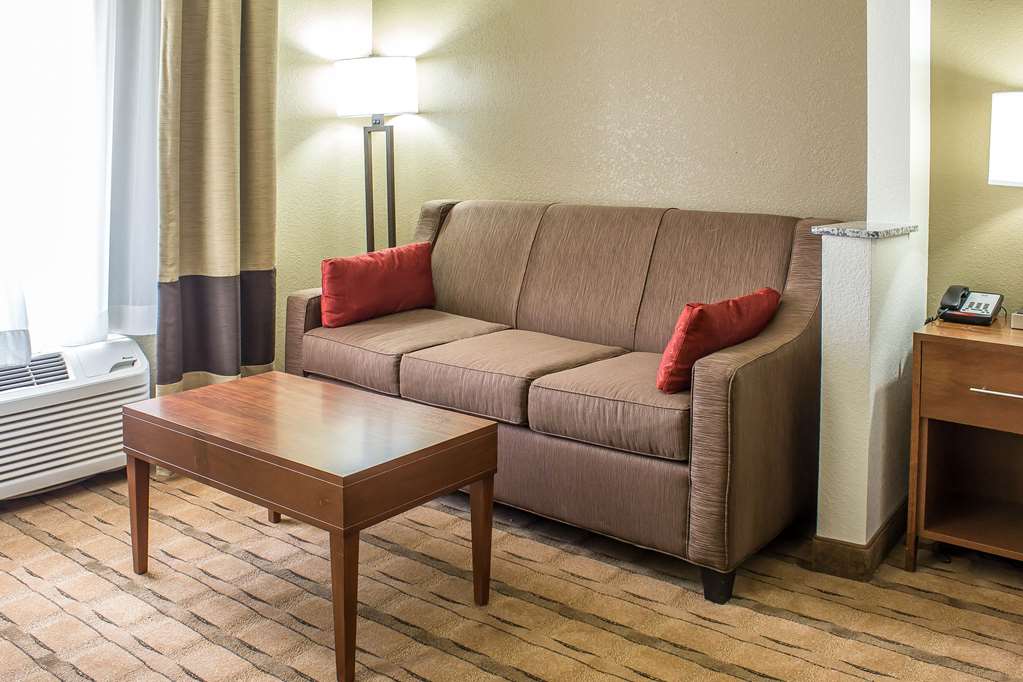 Comfort Inn & Suites Cedar Rapids North Collins Road - photo 42
