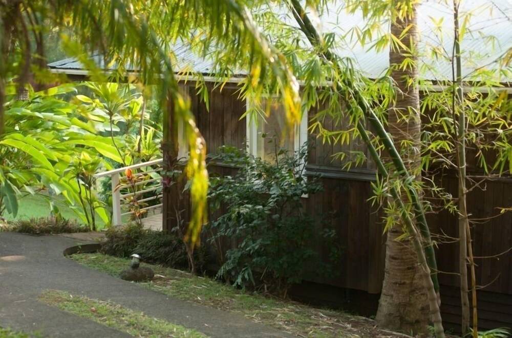 Hale Kukui Orchard & Cottages - photo 7