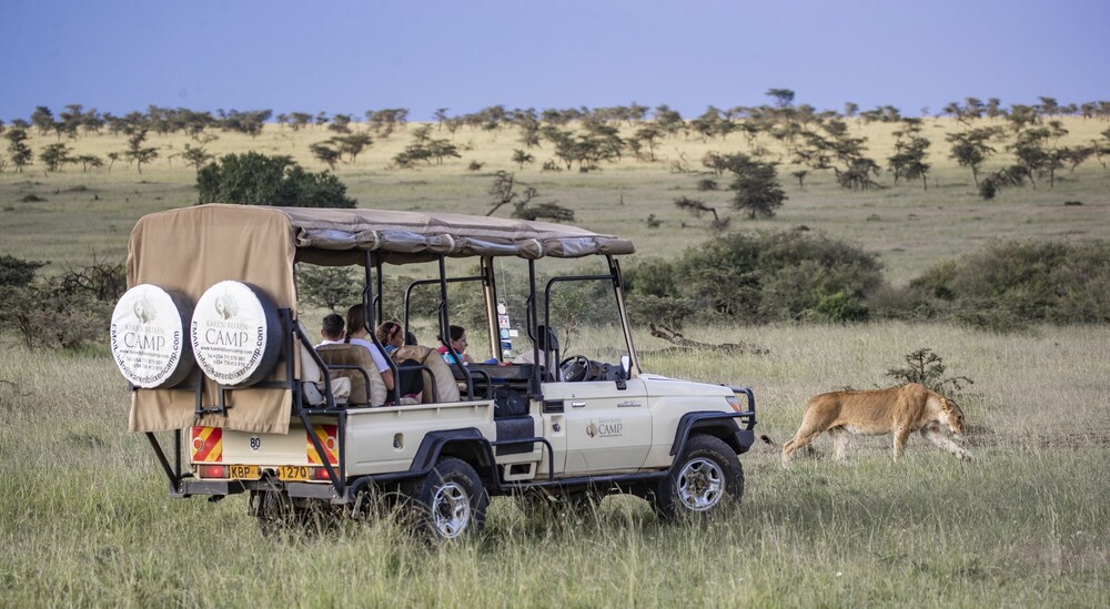 Game drive