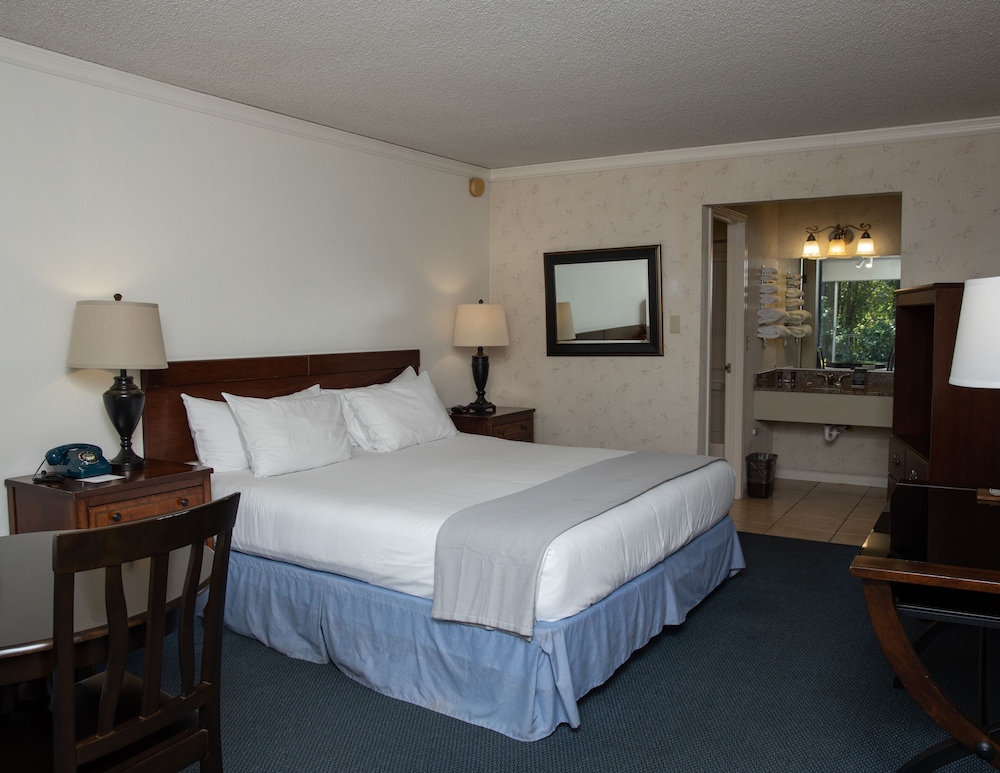 The Occidental Lodge - photo 18