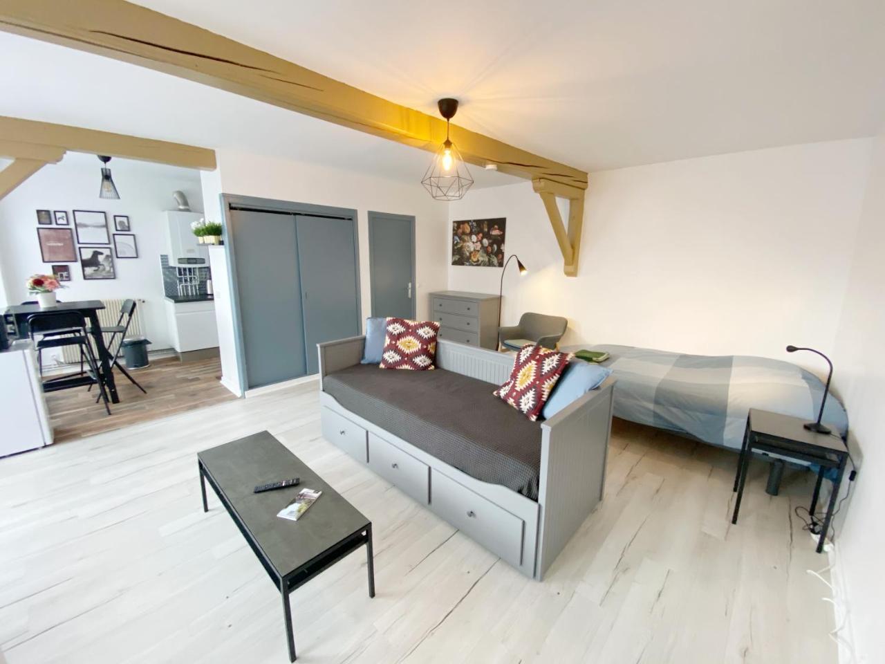 015 Chic Cosy Studio 41m2 Hypercentre Wifi Smart Tv Netflix — Saint Etienne