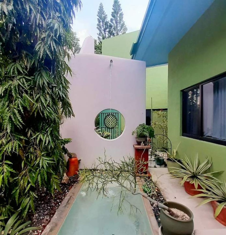 Unique Art Nature Hideaway Walkable to Wilton Drive - carbon neutral hotel in Wilton Manors