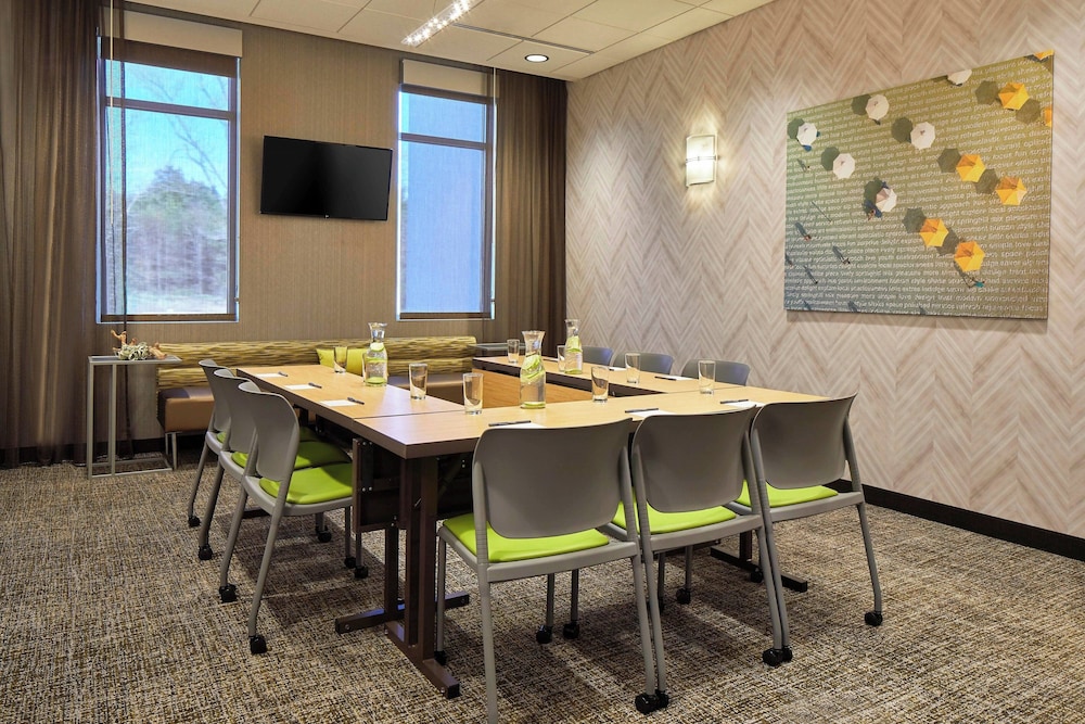 SpringHill Suites by Marriott Charlotte at Carowinds - photo 30