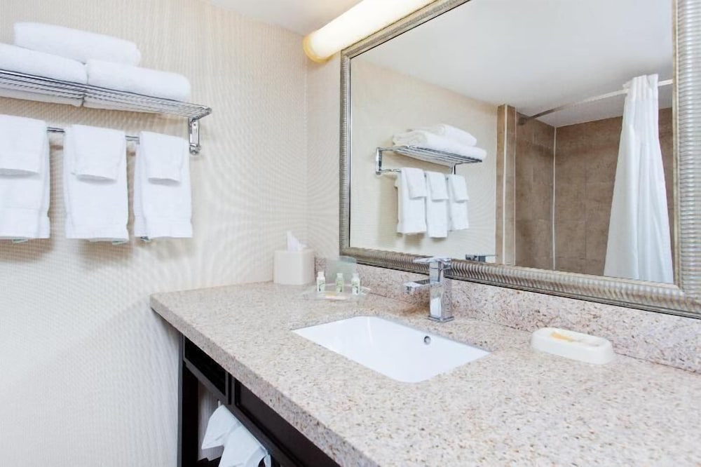 Wyndham Garden Dover - photo 16
