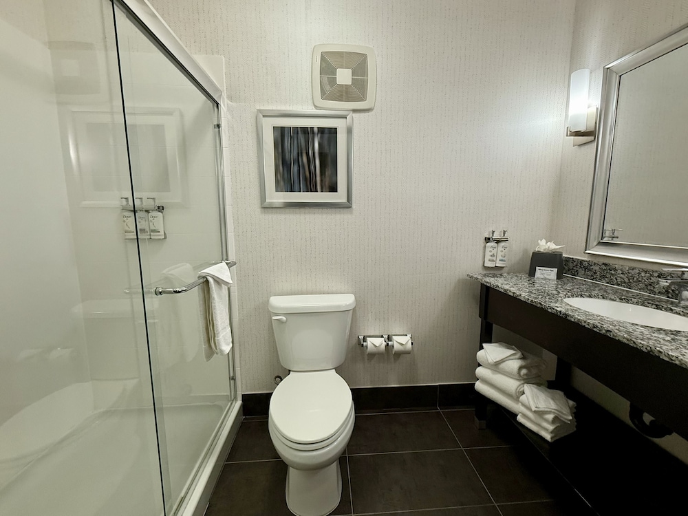 Holiday Inn Carlsbad by IHG - photo 25