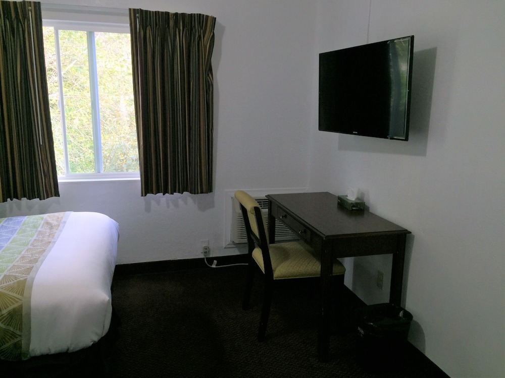 Westward Inn - photo 15