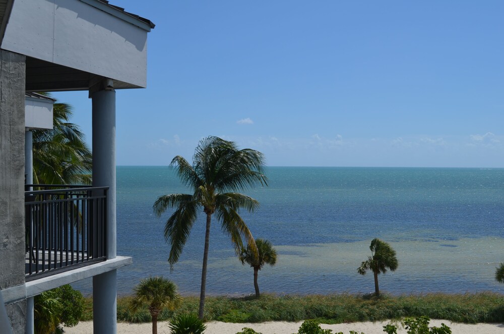 1800 Atlantic Suites - photo 57