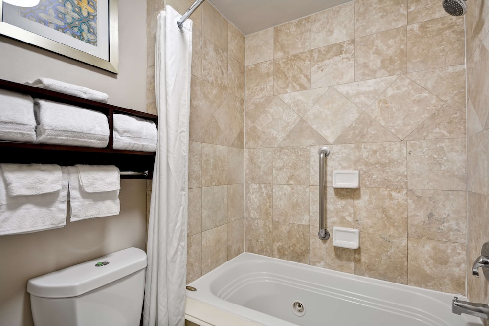 Homewood Suites by Hilton Dallas Lewisville - photo 46