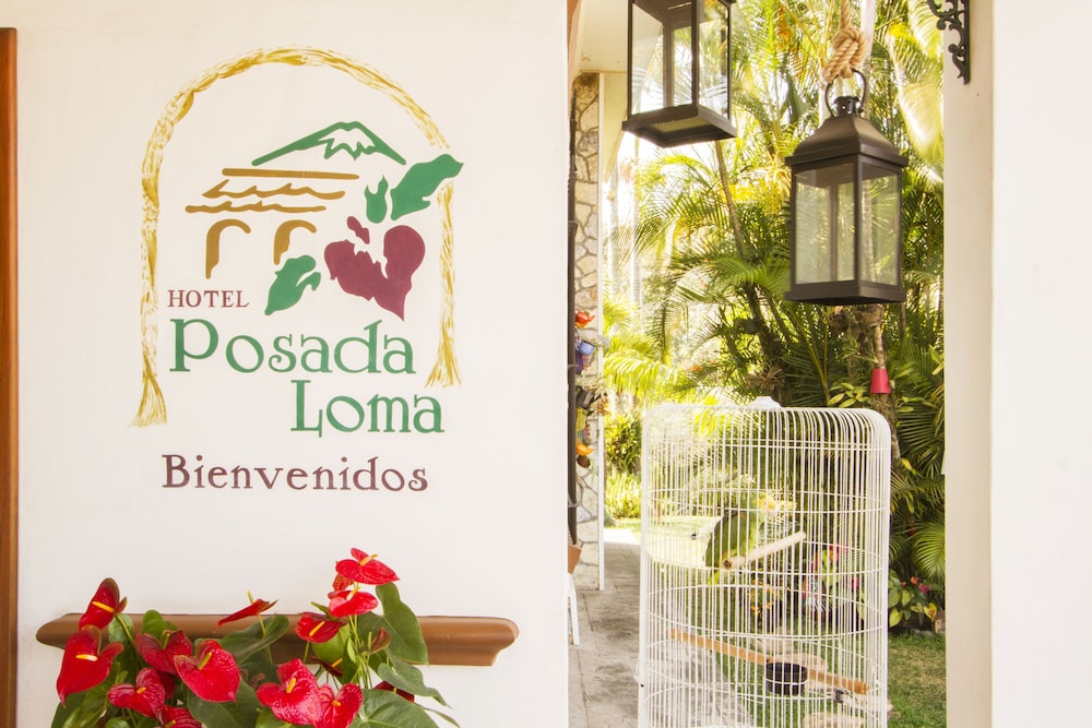 Hotel Posada Loma — Fortin De Las Flores