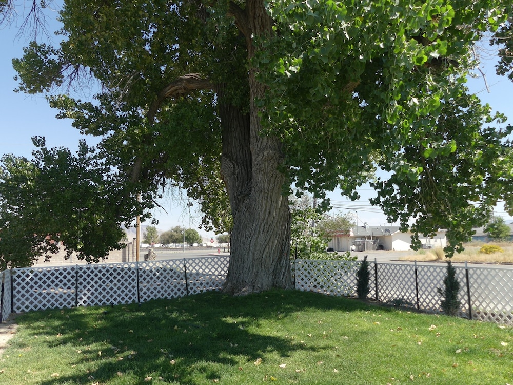 Big Chief Motel - photo 48