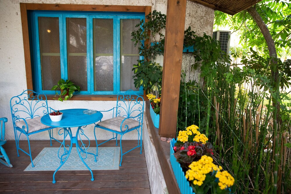 Tsimeroni in Unknown City, Israel