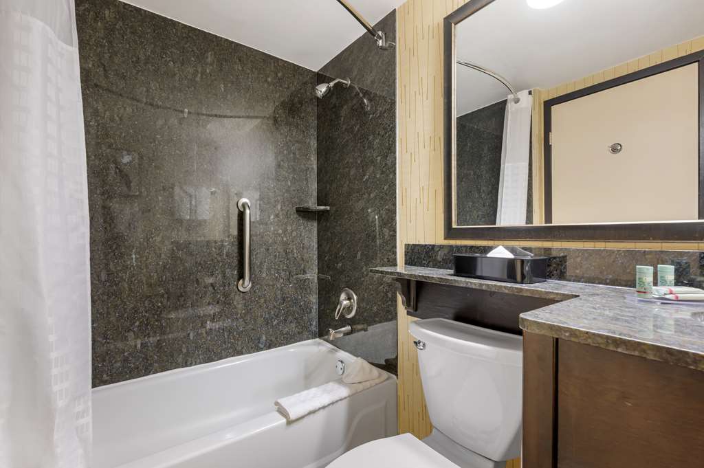 Best Western Chicago Downers Grove - photo 36