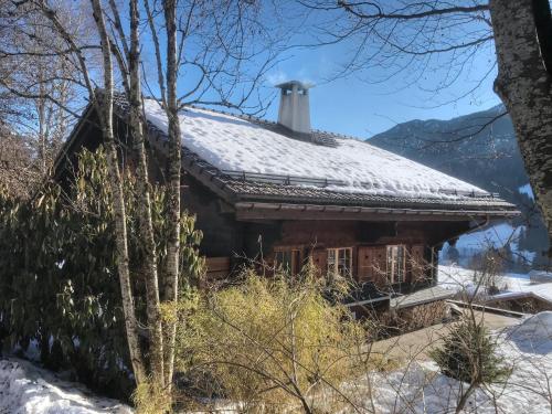 Les Jumelles — hotel in Gstaad