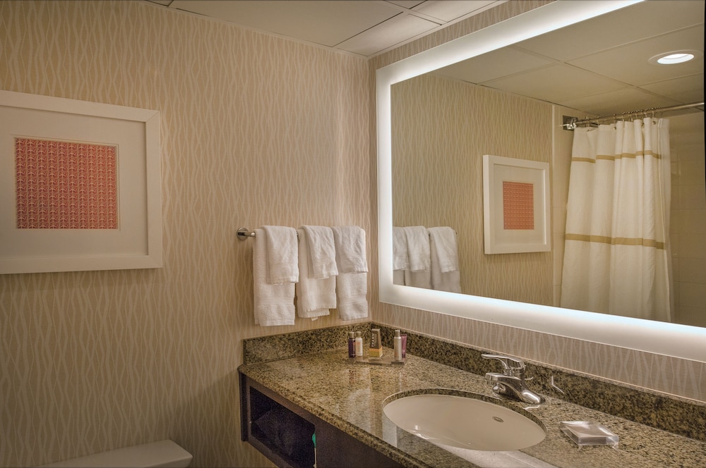 Marriott St. Louis Airport - photo 48