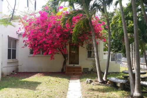 Private guest house in the heart of Miami Surrounded by Miami's HOT spots — 4-Star Luxury Hotel in Miami, United States