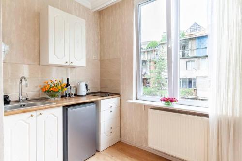 Cozy Apart W AC & free parking in the Town Center