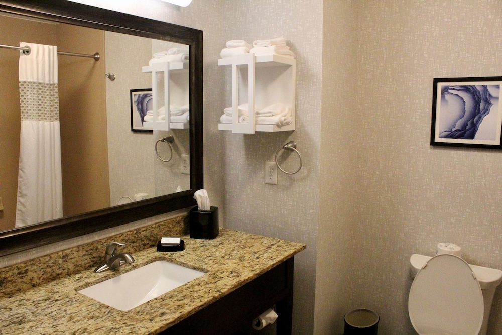 Hampton Inn Indianapolis NW Zionsville - photo 27