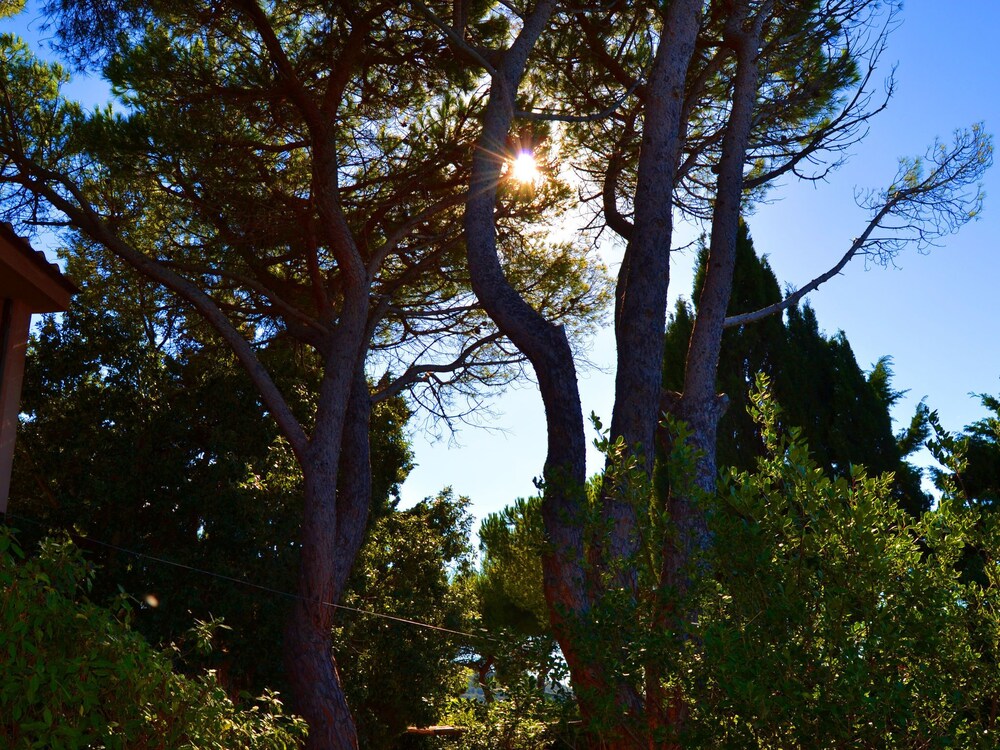 Villetta — 4-Star Luxury Hotel in Monte Argentario, Italy