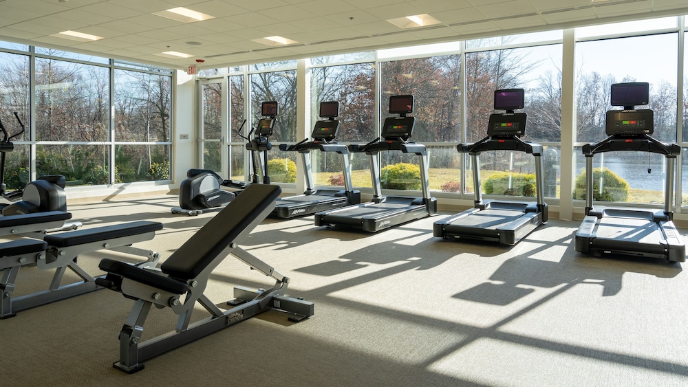 SpringHill Suites by Marriott Woodbridge - photo 24