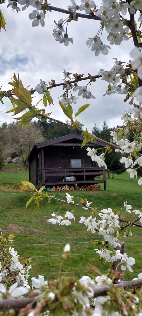 Chata na samotě Šumava - last minute hotel in Unknown City