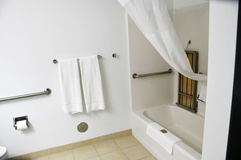 Best Western Harmony Inn Fort Dodge Iowa - photo 23