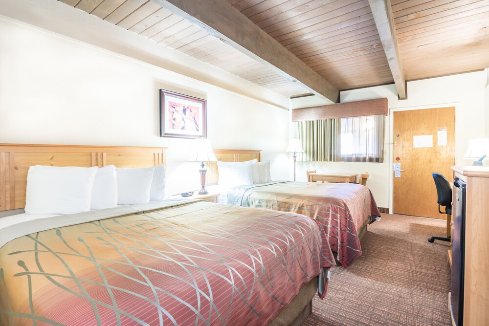Teton West Motel - photo 7