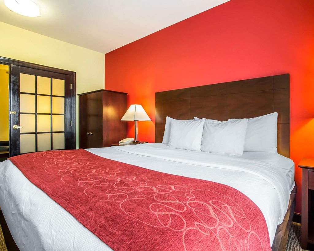 Comfort Suites Rock Hill Manchester Meadows Area - photo 19