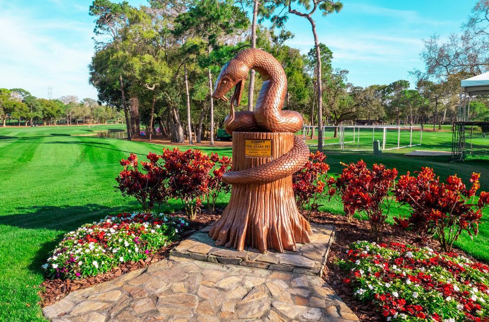 Innisbrook Resort - photo 68