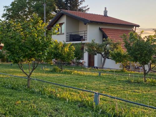 S T D Paradiso in Vranje, Serbia