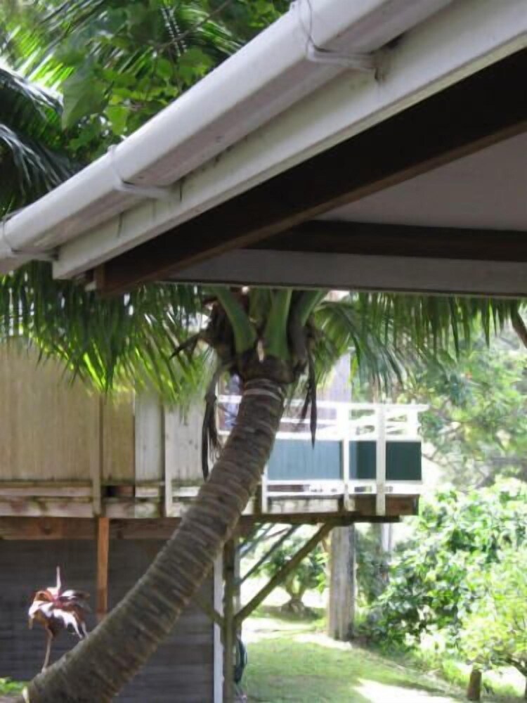 Hale Kukui Orchard & Cottages - photo 32