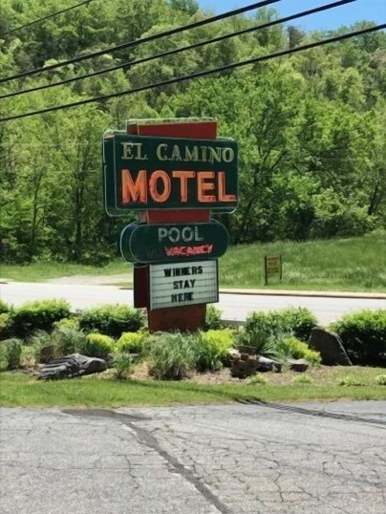El Camino Motel - photo 9