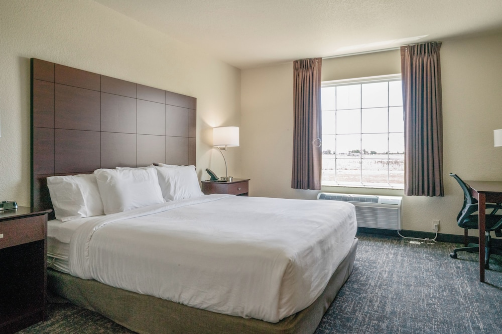 Cobblestone Inn & Suites Boise City - photo 17