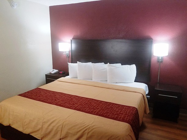 Motel 6 San Antonio Northeast - photo 14