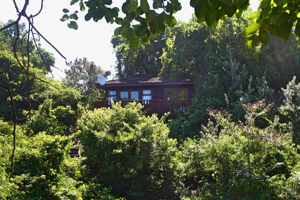 Mtunzini Forest Lodge Self Catering Resort in Durban, South Africa