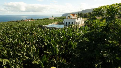 Hacienda Los Orovales in Puerto De La Cruz, Spain