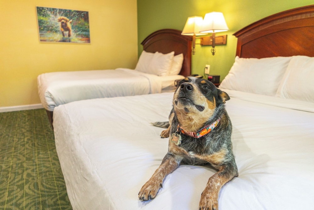 Massanutten Resort - photo 23