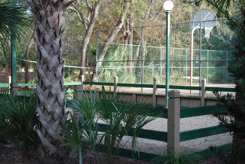 Steinhatchee Landing Resort - photo 122