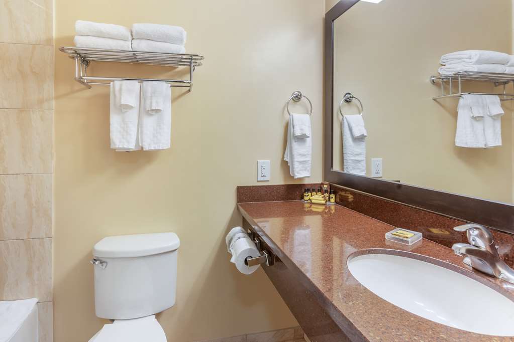 Best Western Plus Airport Plaza - photo 35