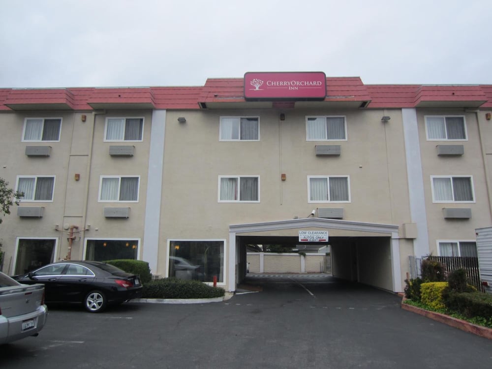 Cherry Orchard Inn - photo 38