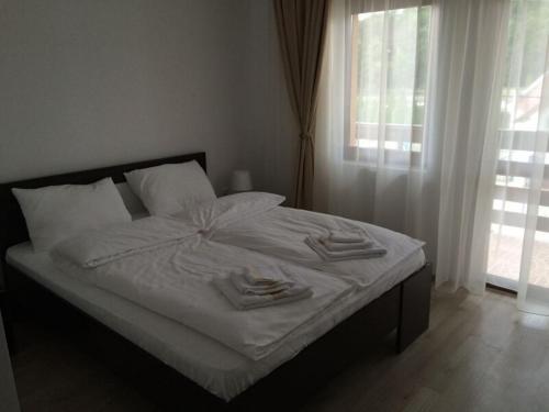 Pensiune Restaurant Indus in Ocna Sibiului, Romania