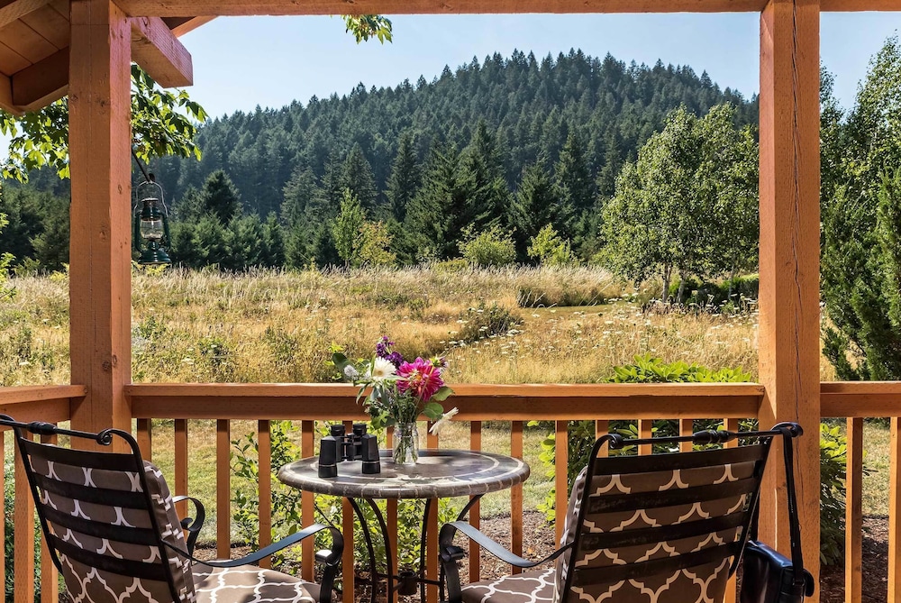 Carson Ridge Luxury Cabins - photo 25