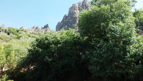 Casas La Piedra De Tíscar — Quesada — photo 2